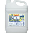 抗菌・無香料衣料用洗剤5Kg 304098A カネヨ