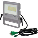 LED投光器 作業用フラットライト70W LENFH70DSL50K 日動