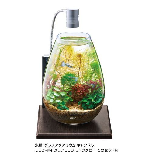 ���饹�١��� ���ܥˡ�200 GEX