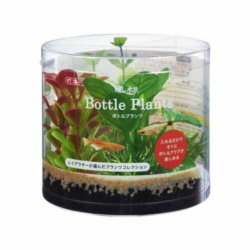 癒し水景 ボトルプランツ アヌビアス GEX