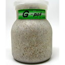 G‐POT 550cc G−POT