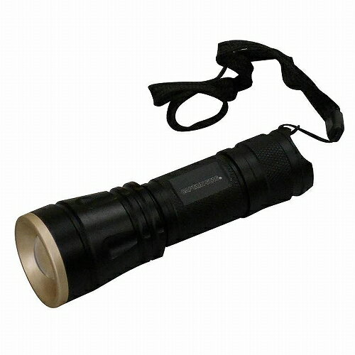 雷神 アルミパワーチップ型LEDライト(1W-80) UK-4024 パール金属