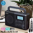 PLLポータブルラジオ AM/FM/ラジオNIKKEI RAD-T570N AudioComm