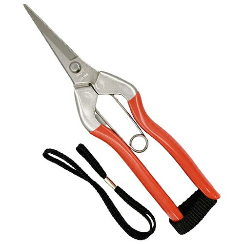 ステンレス摘果鋏185mm S-1S 越路