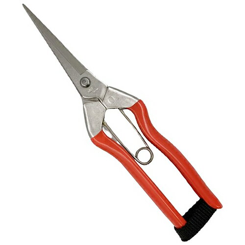 ステンレス刃長摘果鋏 S-2 越路