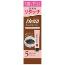 テンスターヘナ リタッチBR 65g テンスター