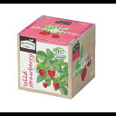 エコ栽培キット Re:Green ワイルドストロベリー 102973 アーテック