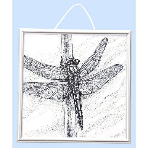 �����ե졼�������� 5065 �����ƥå�