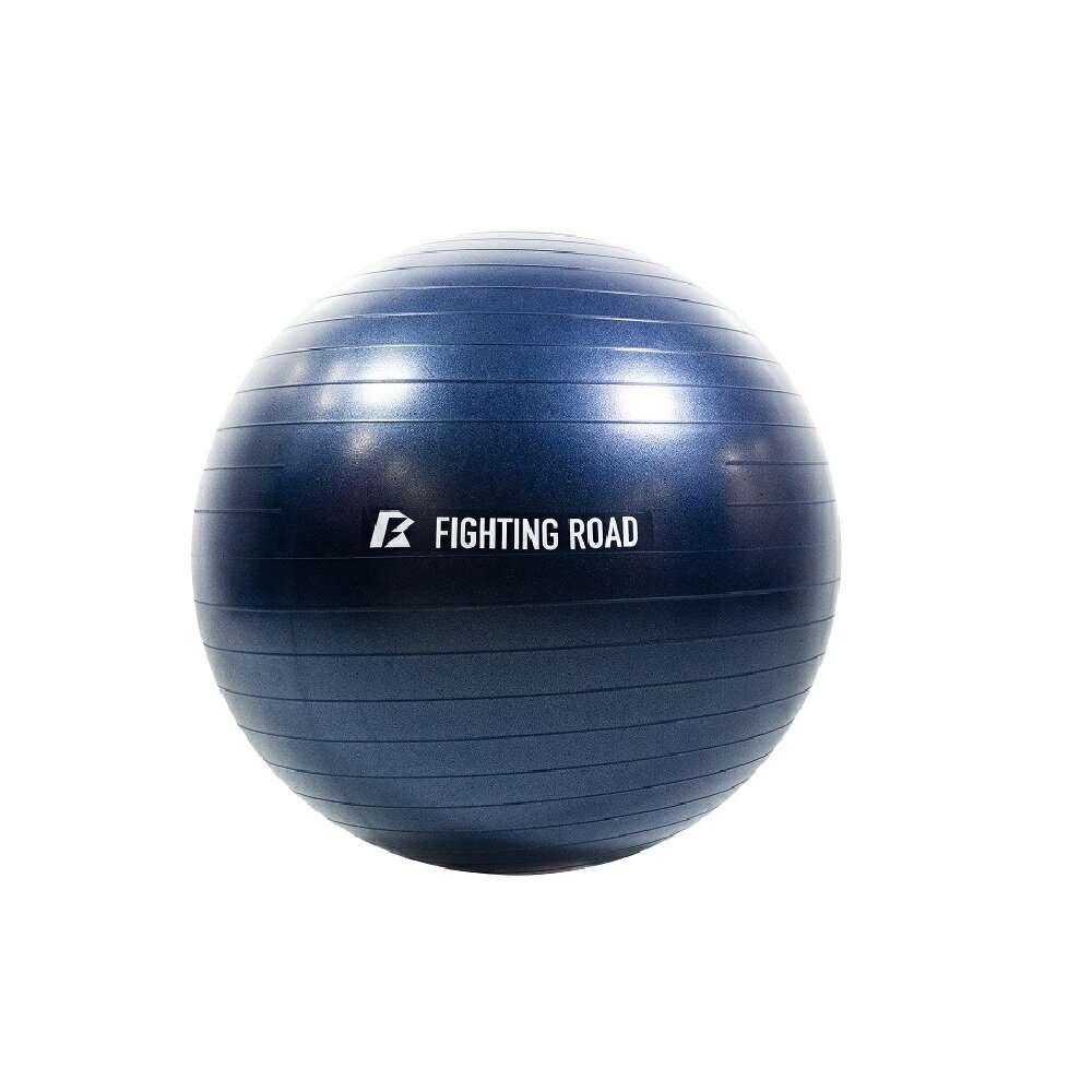 ジムボール55cm ネイビー FIGHTING ROAD エクササイズ フィットネス 健康 トレーニング ダイエット
