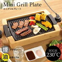 PULMORE ミニグリルプレート COK-YHP100A-M OHM 電気 ミニグリル オーム電機 プレート 焼肉グリル 焼肉 プレート 減煙 電気グリル