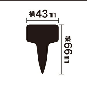 �����ǥ����٥�Y�� 10���� �� 43X66mm ���奦 43��66mm ���եƥ�-3 ������� ������Ȼ�� ��ݥ�٥�