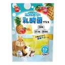 ミニマルゼリー 乳酸菌プラス 15g×12個 マルカン 主食 副食 おやつ 栄養 健康 水分 おいしい しつけ 手渡し 歯 噛 ウサギ スドー ハヤシ