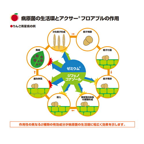 アクサーフロアブル 250ml BASFジャパン 園芸用品 ガーデニング ガーデニング用品 農業資材 農薬 農業用品 殺菌剤