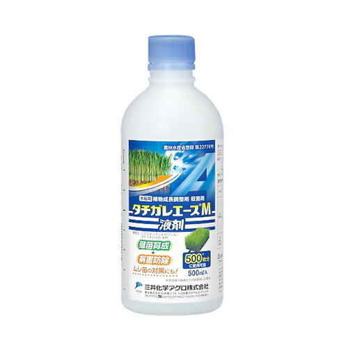 ^`KG[XMt 500ml O䉻w |pi K[fjO K[fjOpi _Ǝ _ _Ɨpi Eۍ