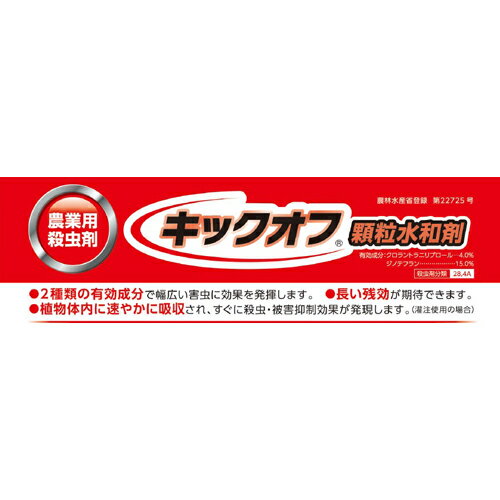 ���å�������γ���º� 250g ���沽�� ������� �����ǥ˥� �����ǥ˥����� ���Ȼ�� ���� �������� �����