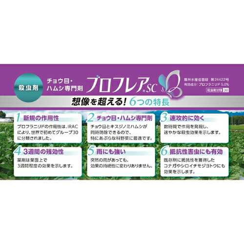 �֥��ե쥢SC 250ml ���沽�� ������� �����ǥ˥� �����ǥ˥����� ���Ȼ�� ���� �������� �����