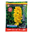 洋らん肥料 2kg 東商 園芸用品 ガーデニング ガーデニング用品 農業資材 農業用品 有機肥料 肥料 有機入り