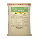 オラクル粉剤 15kg 日産化学 園芸用品 ガーデニング ガーデニング用品 農業資材 農薬 農業用品 殺菌剤