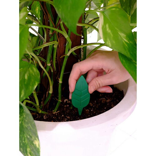 BotaNice�ڤ��饳�Х��༣ ���������� ������� �����ǥ˥� �����ǥ˥����� ���Ȼ�� ���� �������� �����