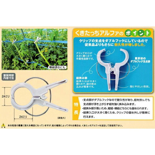 �������ä�����ե� ���� 200�� ������ ������� �����ǥ˥� �����ǥ˥����� ���Ȼ�� ��������