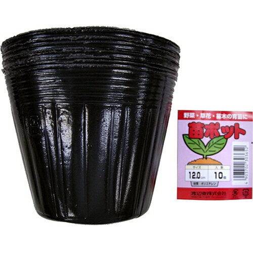 苗ポット 12.0cm 10個入 渡辺泰 園芸用品 ガーデニング ガーデニング用品 農業資材 農業用品 育苗資材 ..