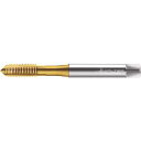 プロトティップ H ポイントタップ(TINコート) JC2036005M20_8945 ワルター
