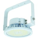 ハイスペックハイディスク70W電源装置内蔵型昼白色吊下げ型ワイド L70BPH11050K 日動 作業灯・照明用品 天井照明器具
