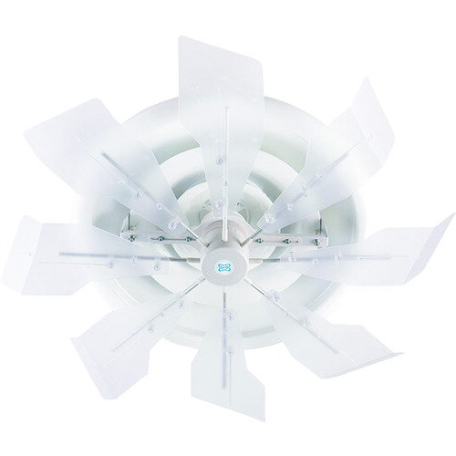 �ϥ��֥�åɥե���SJR ���ꥢ- HBFSJRCW ���󥰥��� ����˼����Ĵ���� ������