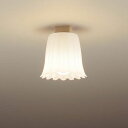 LED小型シーリングライト HH-SH0086L2 パナソニック 照明 省エネ 長寿命 内玄関 廊下 トイレ