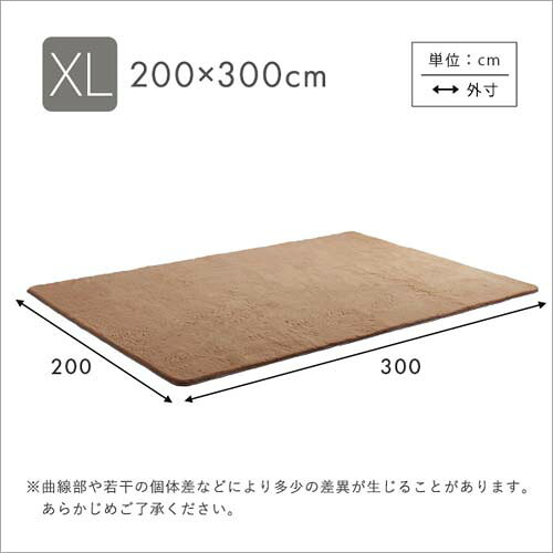 ふわふわシャギーラグ 200×300cm XLサイズ SHRG-XL--LGY ライトグレー XLサイズ ホームテイスト ふわふわシャギーラグ XLサイズ(200×300cm) [3]