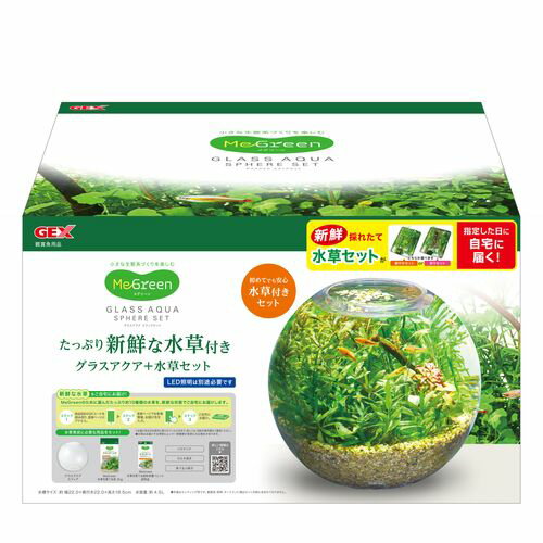 MeGreen ʿդ 饹 եå GEX Ѿ޵ Ѿ޵ѿ 
