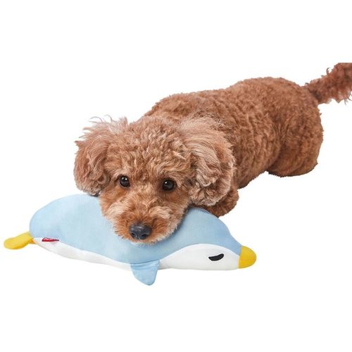 ��ǭ�� �Ҥ���TOY�����ޤ��� �ڥ󥮥� �ڥƥ��� �� ����˼���� ������� ��ǭ����