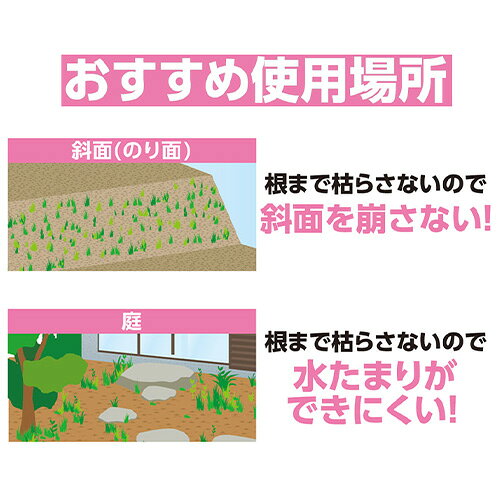 速く枯れる除草剤 2L 2L DCM DCM 除草剤 速く枯れる除草剤