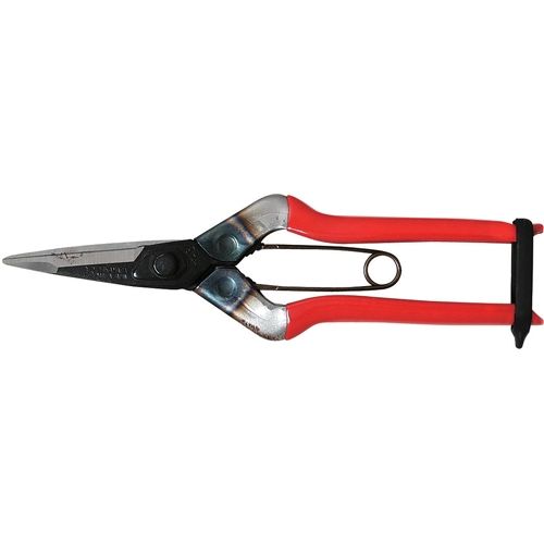 大型摘果鋏 T‐601K チカマサ