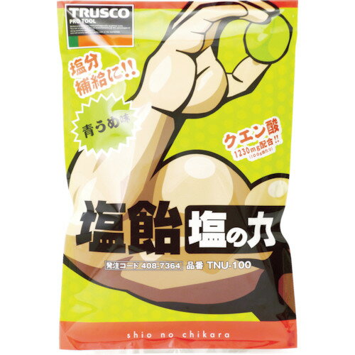 塩飴 塩の力 100g袋入 TNU100 青梅味 TRUSCO