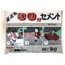 超速乾30分セメント 1KG グレー 家庭化学工業