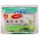 石こうボード穴埋めパテセット 400G 家庭化学工業
