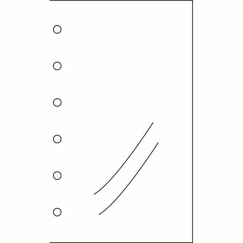 手帳 リフィル PPポケット DPR214 レイメイ藤井