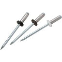 ★10%OFFクーポン ~25日23:59迄★カラーブラインドリベット HCNSA44BP ブラック φ3.2×9.9mm エビ