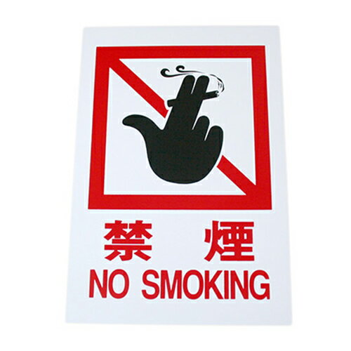 �ץ졼�� �ر� NOSMOK HI500-13 ��200x��300x��1mm ��