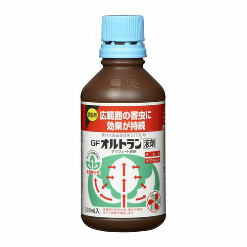 Igt 300ml 300ml ZFw|