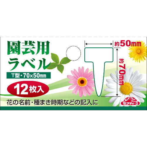 ����ѥ�٥� T��12���� ���奦 �� ���եƥ���3