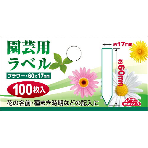 ����ѥ�٥뤿�󤶤�100�� 60mm ���եƥ���3