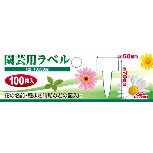 ����ѥ�٥� T��100���� ���奦 �� ���եƥ���3