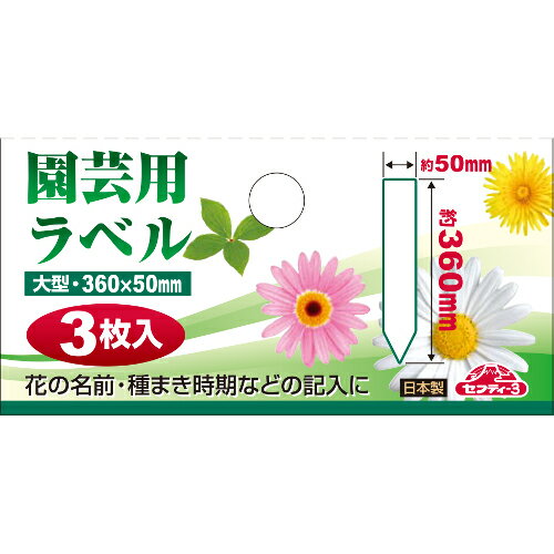 �緿��٥� �� 50X360mm �� ���եƥ���3