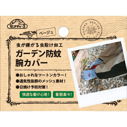 �����ǥ��ɲ��ӥ��С� �١����� ���եƥ���3