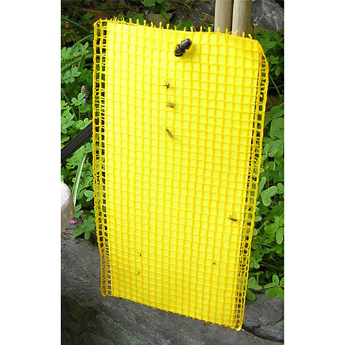 �ȥ륷���ͥå���M3���� 100X230 3�ޥ����� �쿧��Ź