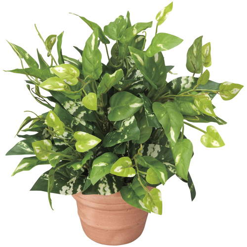 【造花】ポトス 261A25 W22×D22×H25cm 光の楽園