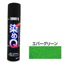 染めQエアゾール 264mL エバーグリーン 染めQ