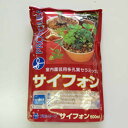 サイフォン 500ml プロトリーフ